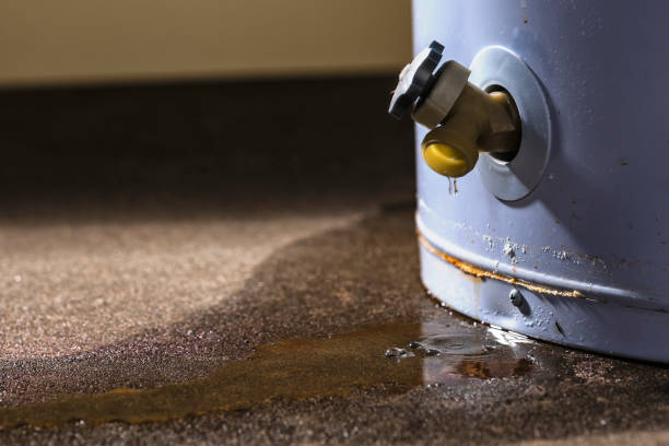  Greendale, WI Water damage restoration Pros
