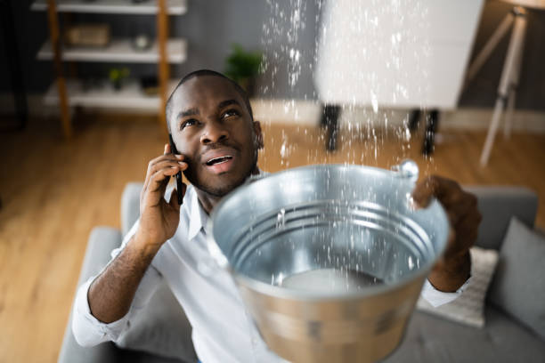 Carpet water damage restoration in WI