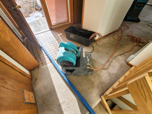 Best Fire Damage Restoration  in Greendale, WI