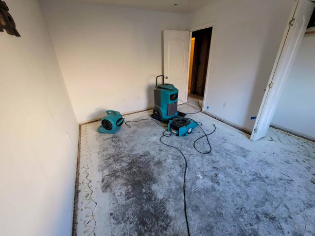 Best Carpet water damage restoration  in Greendale, WI