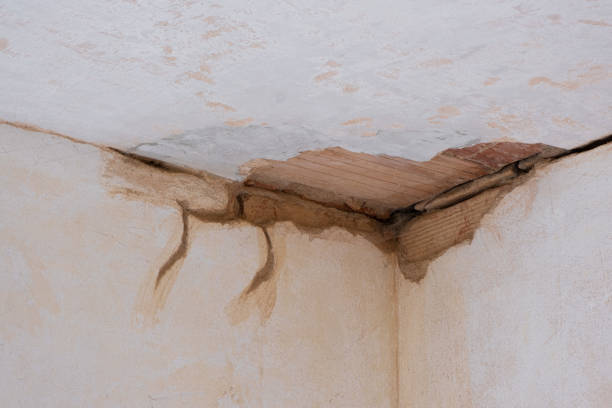 Best Water damage cleanup near me  in Greendale, WI