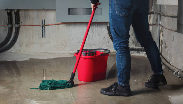 Best Water damage restoration process  in Greendale, WI