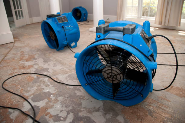Best Emergency water damage restoration  in Greendale, WI