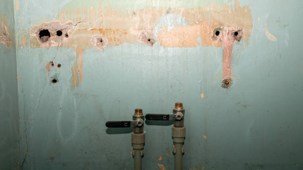Best 24/7 water damage repair  in Greendale, WI