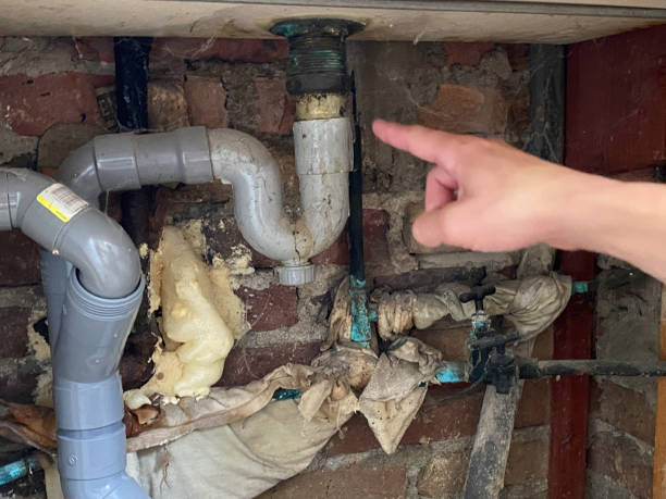 Best Commercial water damage restoration  in Greendale, WI