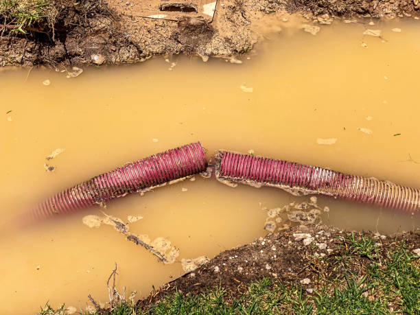 Best Water damage restoration near me  in Greendale, WI
