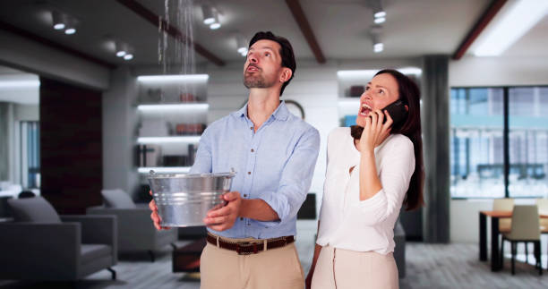 Best Water damage restoration near me  in Greendale, WI